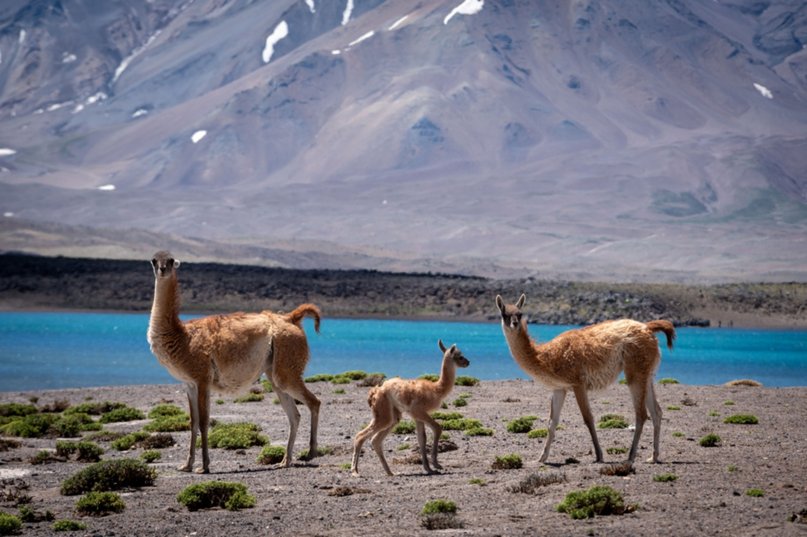 Exitosa apertura de la temporada de la Laguna del Diamante