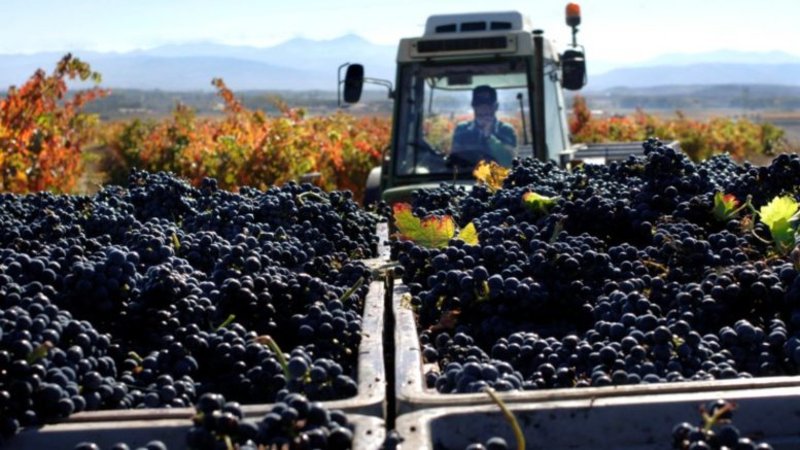 Nuevo programa de la FUNC para ayudar a pymes agroalimentarias a certificar normas Nuevo programa de la FUNC para ayudar a pymes agroalimentarias a certificar normas