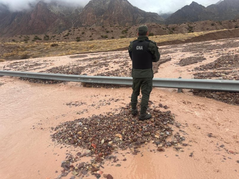 Fuerte despliegue de Gendarmería en Cuyo para control vehicular y Seguridad