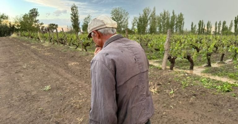 El granizo descargó su furia en el sur provincial